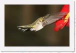 Image_0346 * 2481 x 1604 * (952KB)