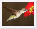 Image_0424 * 2093 x 1561 * (943KB)