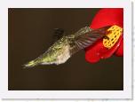 Image_0432 * 2249 x 1614 * (894KB)