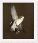 Image_0434 * 1968 x 2294 * (1.07MB)
