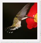 Image_0464 * 2149 x 2304 * (1.24MB)