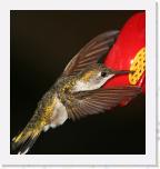 Image_0475 * 2139 x 2276 * (1.27MB)