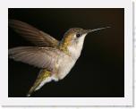 Image_0479 * 2466 x 1900 * (1.05MB)