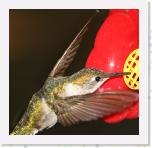 Image_0524 * 1929 x 1875 * (1002KB)