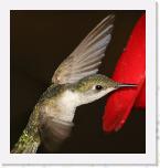Image_0561 * 1838 x 1939 * (891KB)