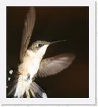 Image_0570 * 2075 x 2304 * (1.13MB)
