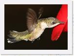 Image_0579 * 2195 x 1594 * (956KB)