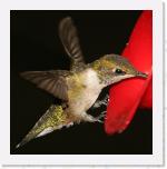 Image_0589 * 1794 x 1811 * (866KB)