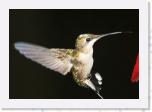 Image_0605 * 2913 x 2038 * (1.42MB)